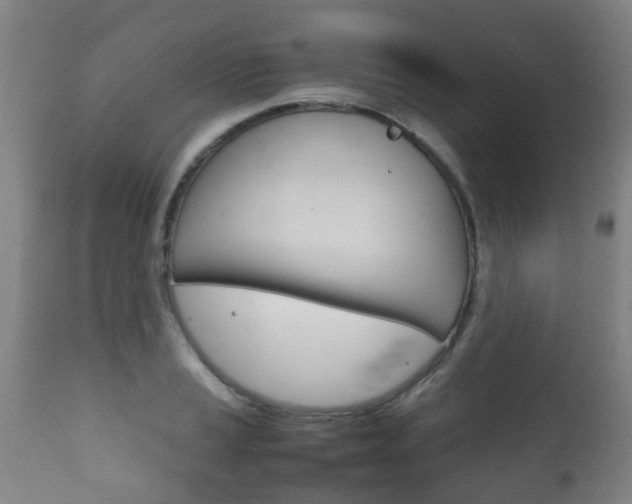 X0000111901037200907271005