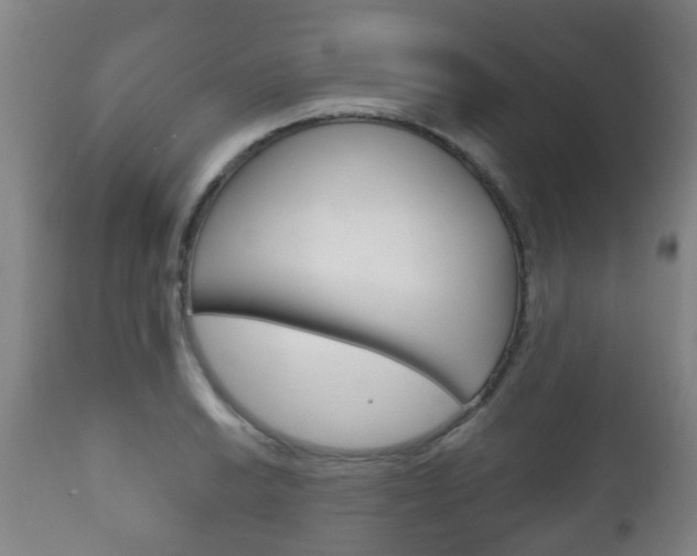 X0000111901038200907271005