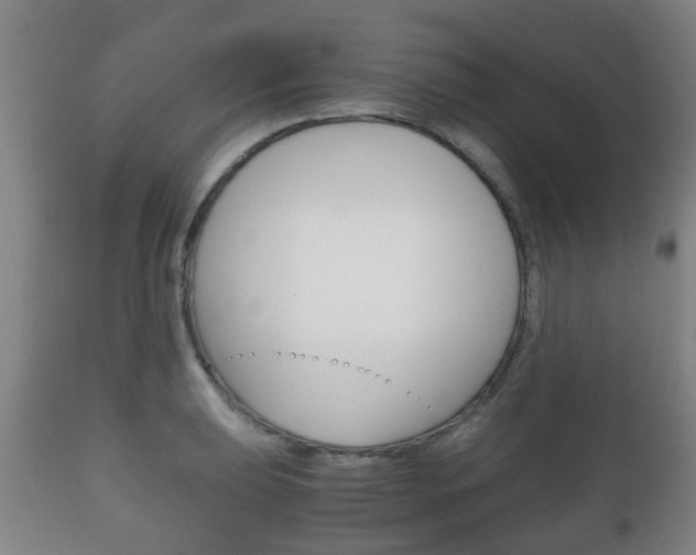 X0000111901039200907271005
