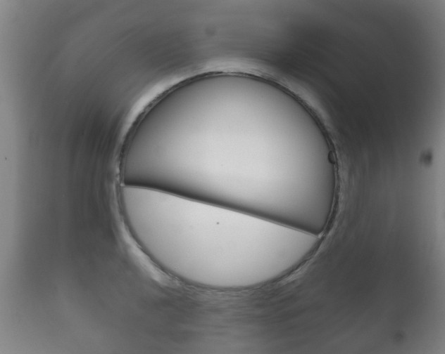 X0000111901040200907271005