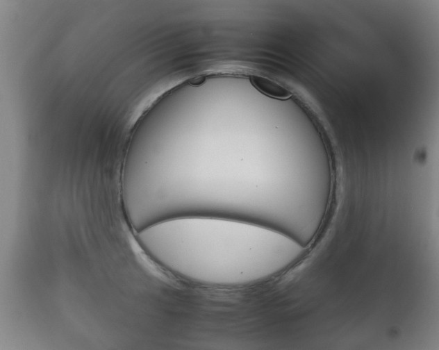 X0000111901041200907271005