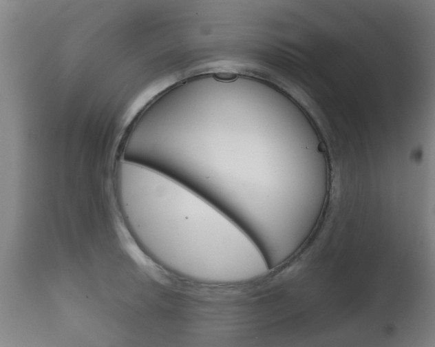 X0000111901042200907271005