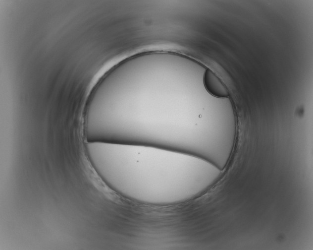 X0000111901044200907271005