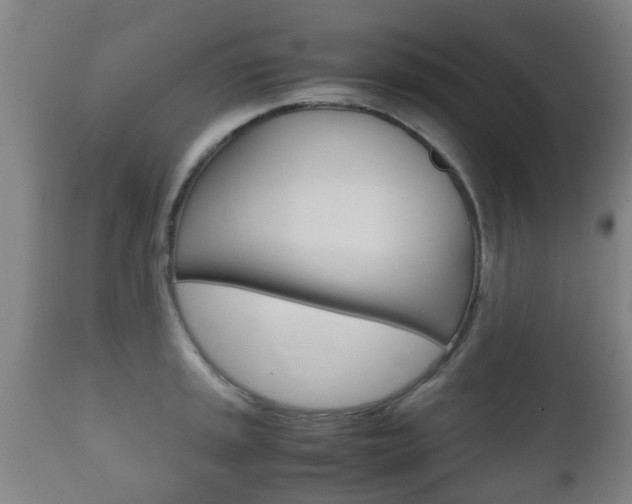 X0000111901045200907271005