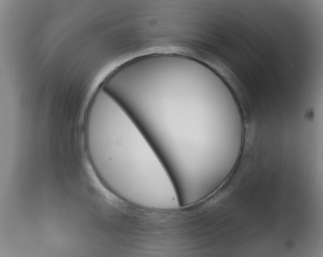 X0000111901046200907271005