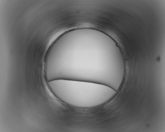 X0000111901047200907271005