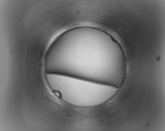 X0000111901048200907271005