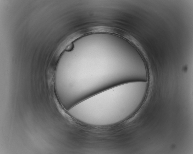 X0000111901049200907271005