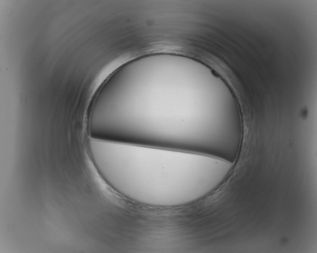 X0000111901050200907271005