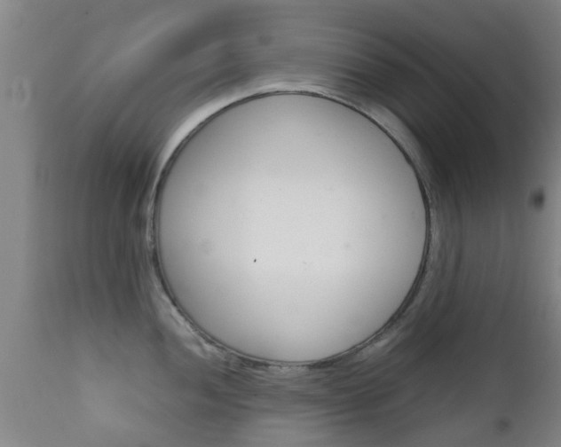X0000111901052200907271005