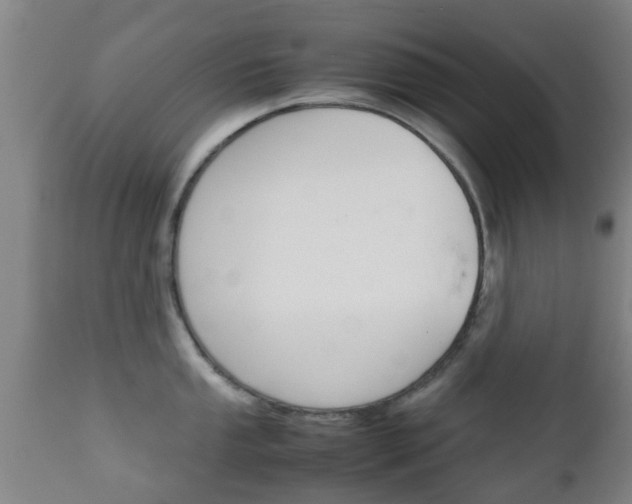 X0000111901053200907271005