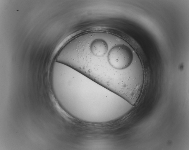 X0000111901054200907271005