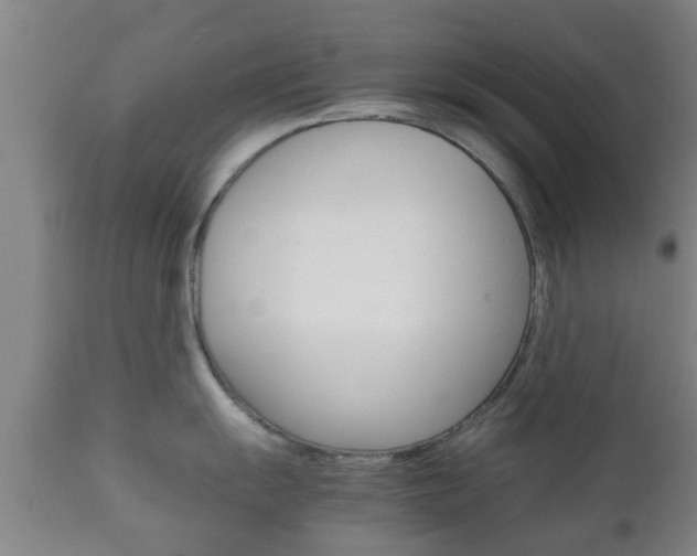 X0000111901055200907271005