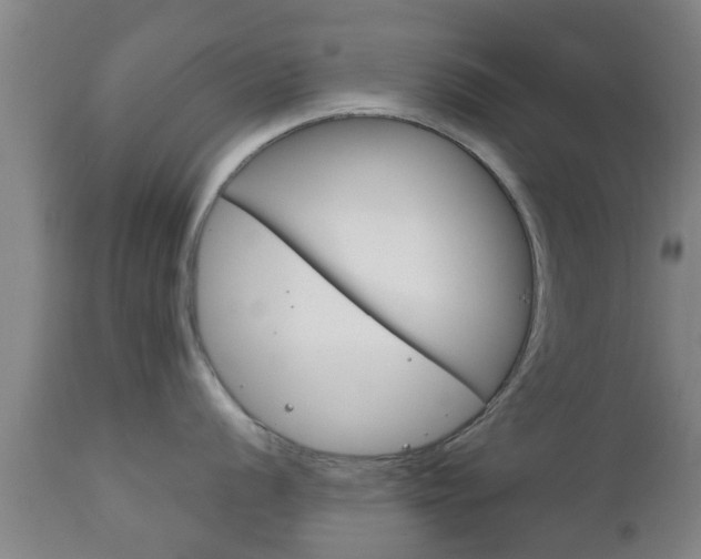 X0000111901056200907271005