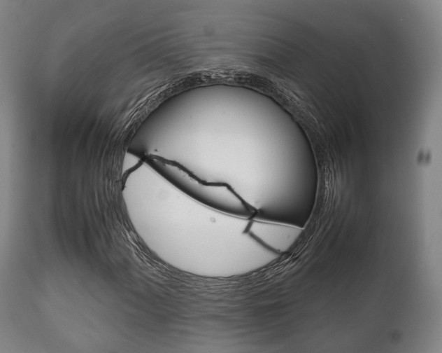 X0000111901060200907271005
