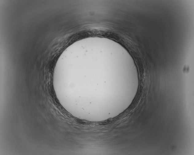 X0000111901061200907271005