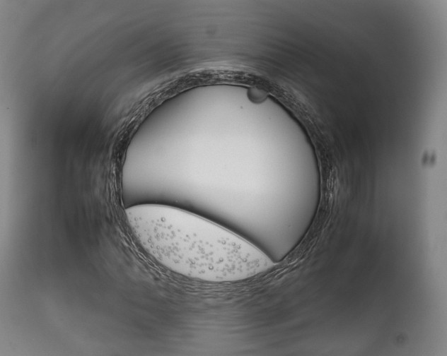 X0000111901062200907271005