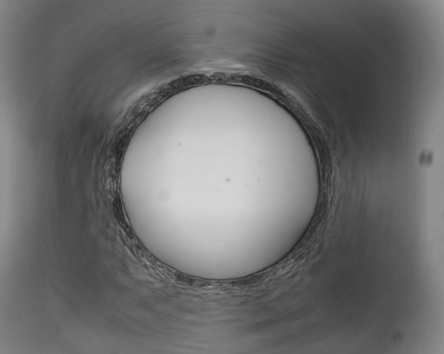 X0000111901063200907271005