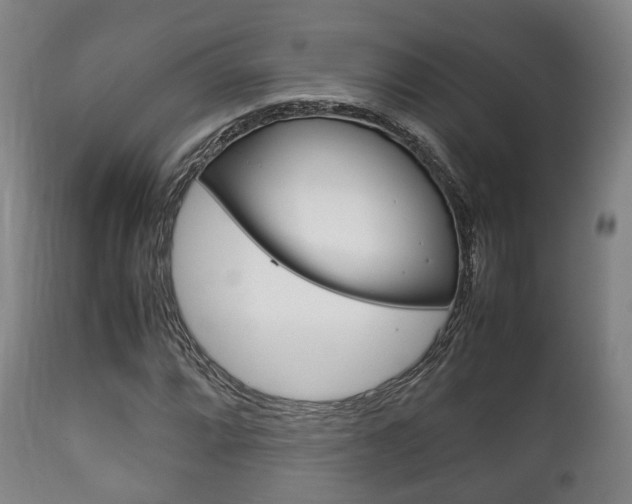 X0000111901064200907271005