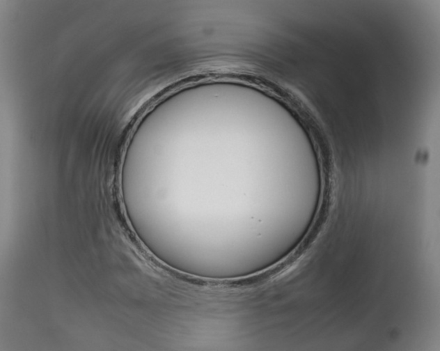 X0000111901065200907271005