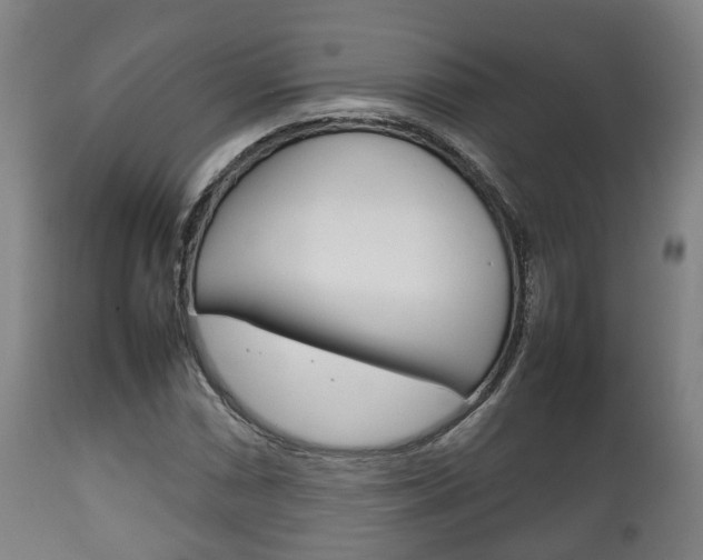 X0000111901066200907271005