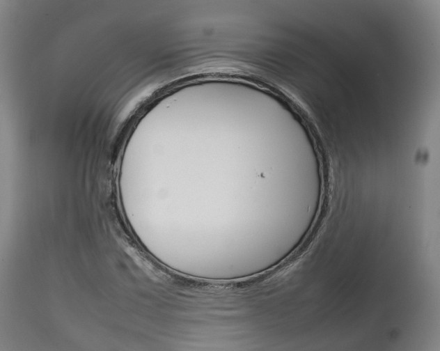 X0000111901067200907271005