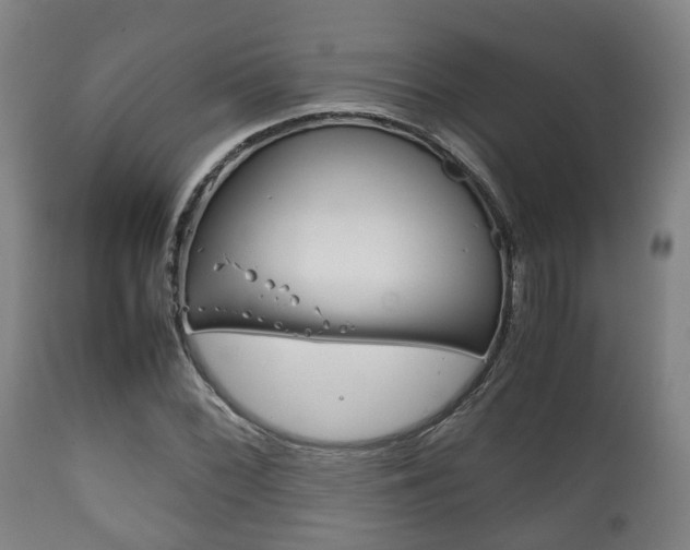 X0000111901068200907271004