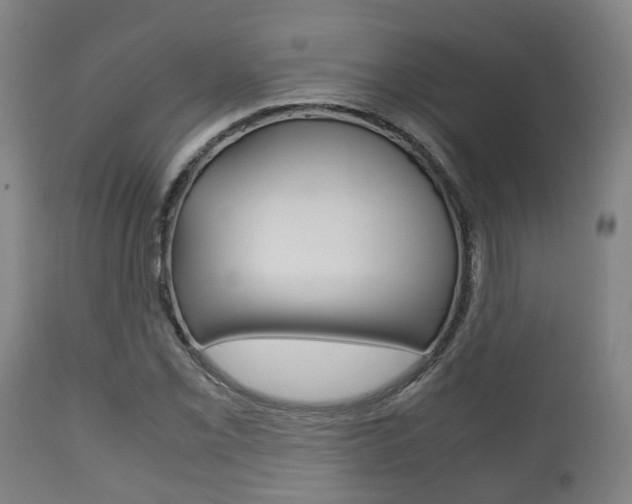 X0000111901069200907271004