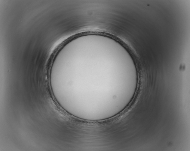 X0000111901070200907271004