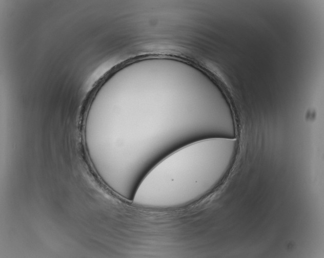 X0000111901071200907271004