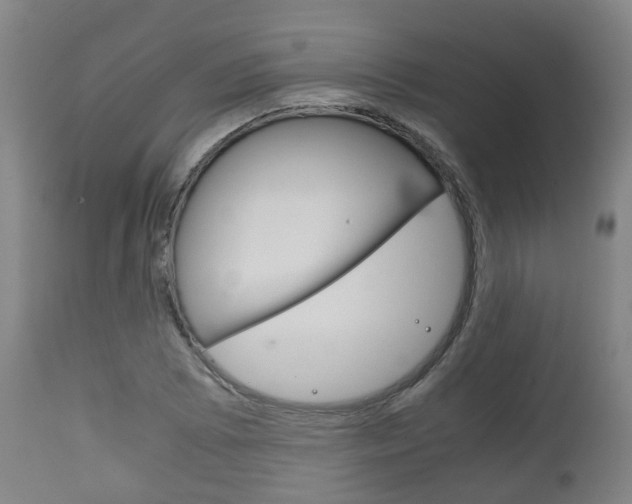 X0000111901073200907271004