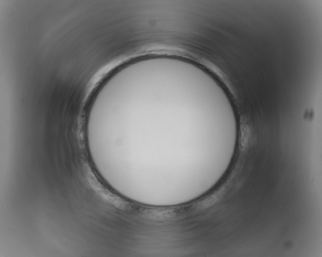 X0000111901074200907271004