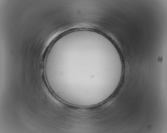 X0000111901075200907271004