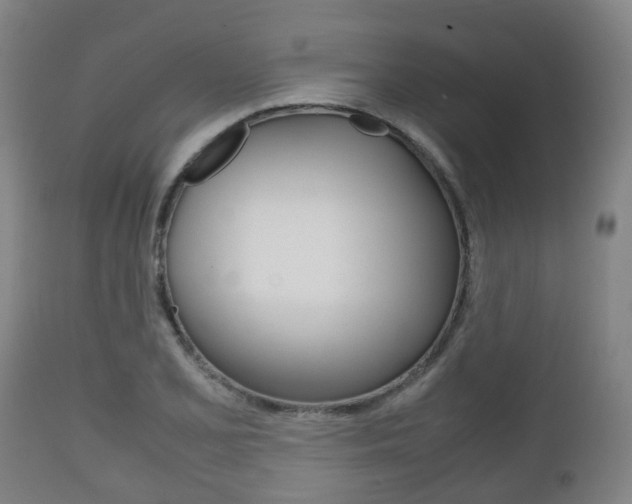 X0000111901077200907271004