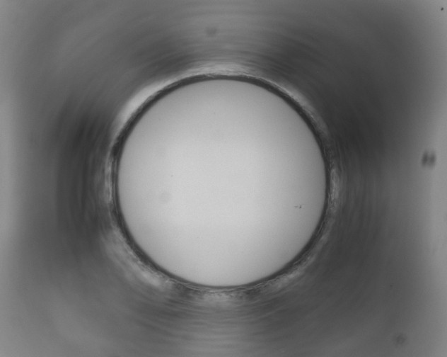 X0000111901078200907271004