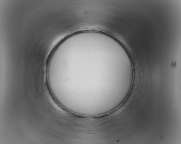 X0000111901079200907271004