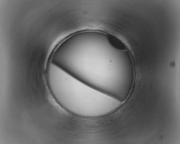 X0000111901080200907271004