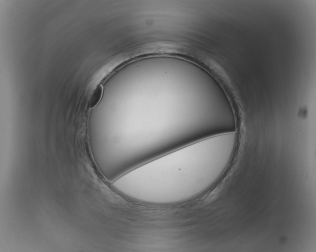 X0000111901081200907271004