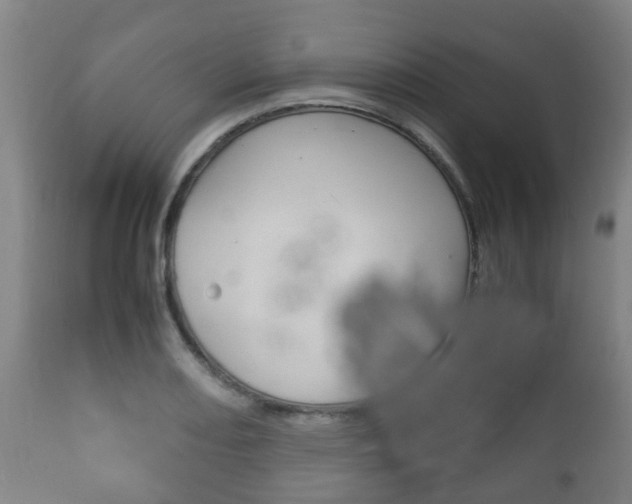 X0000111901082200907271004