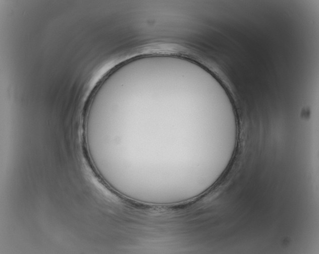 X0000111901083200907271004