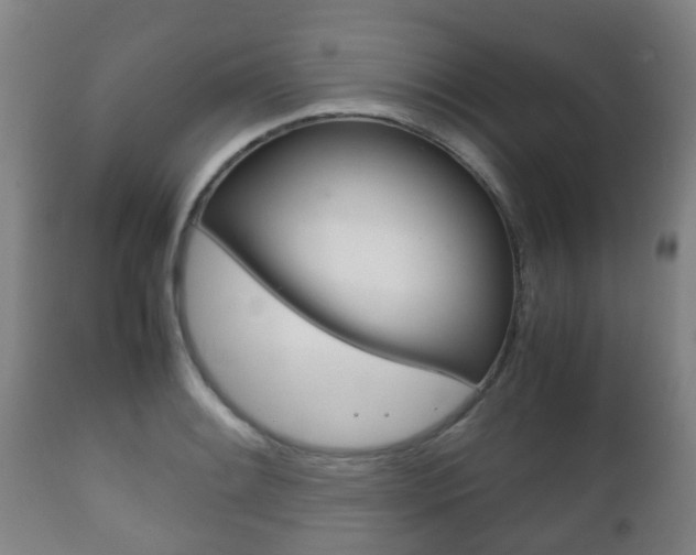 X0000111901084200907271004