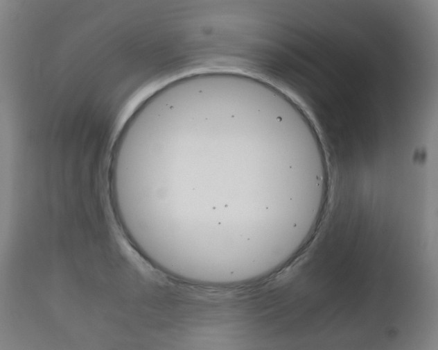 X0000111901085200907271004