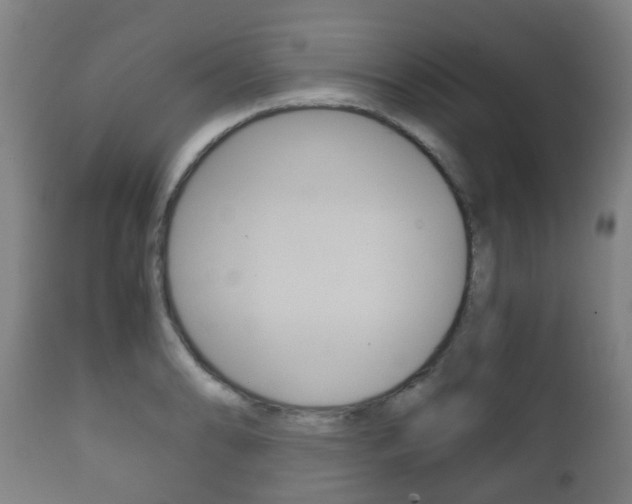 X0000111901086200907271004