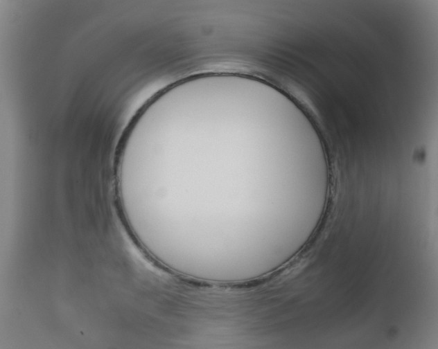 X0000111901087200907271004