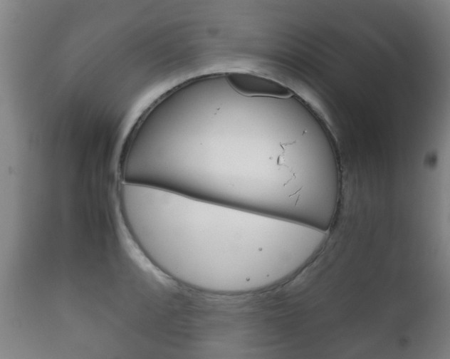 X0000111901088200907271004