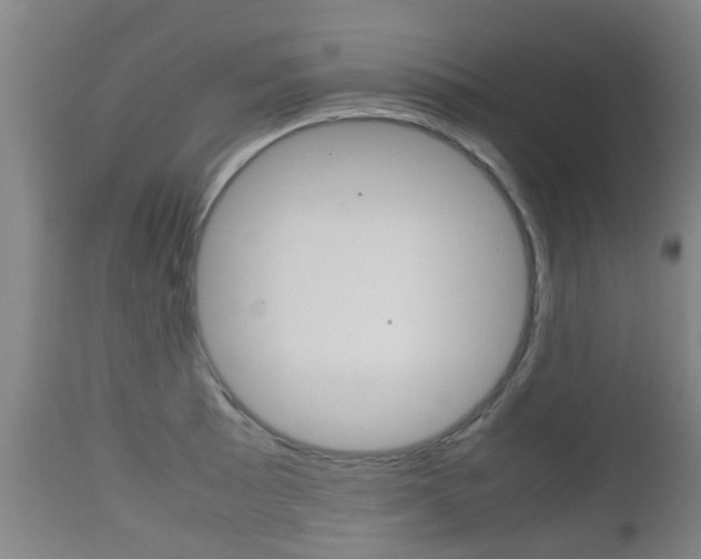 X0000111901089200907271004