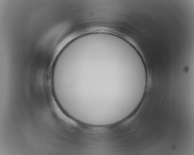 X0000111901090200907271004