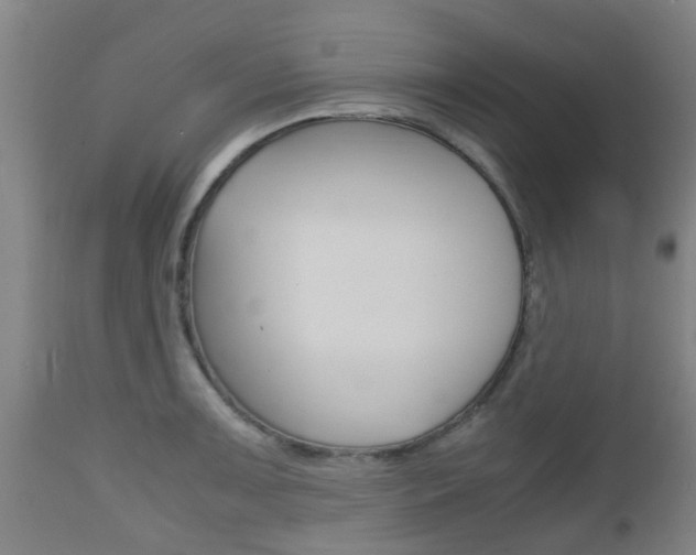 X0000111901091200907271004