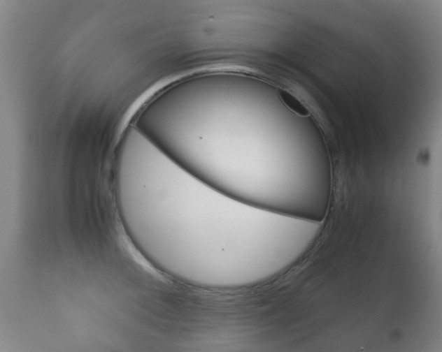 X0000111901092200907271004