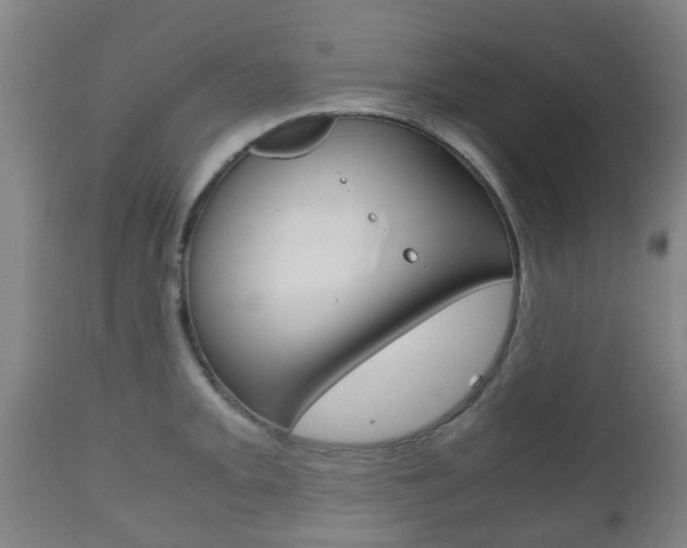 X0000111901093200907271004